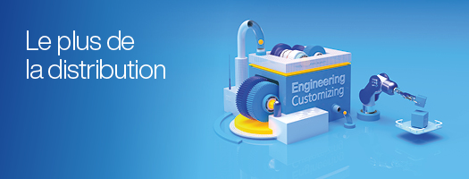 Ing�nierie/ customisation